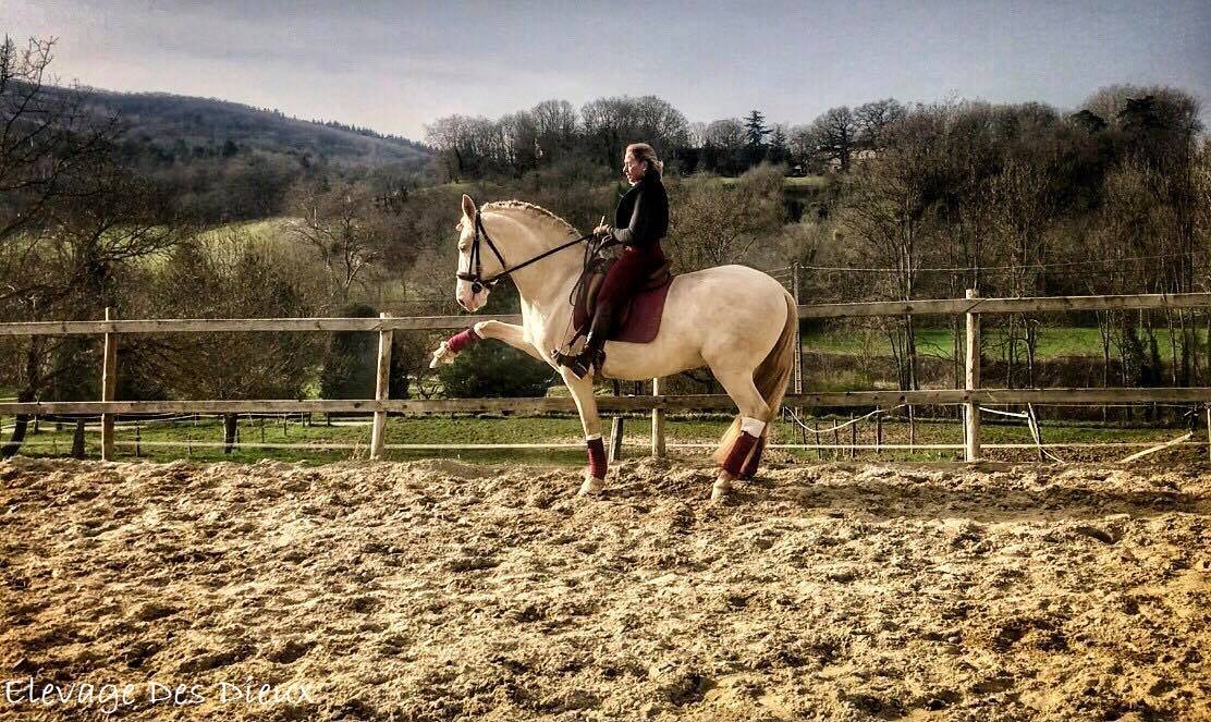  PRESIDENTE DE JARAMA PRE robe Crème 1M70 