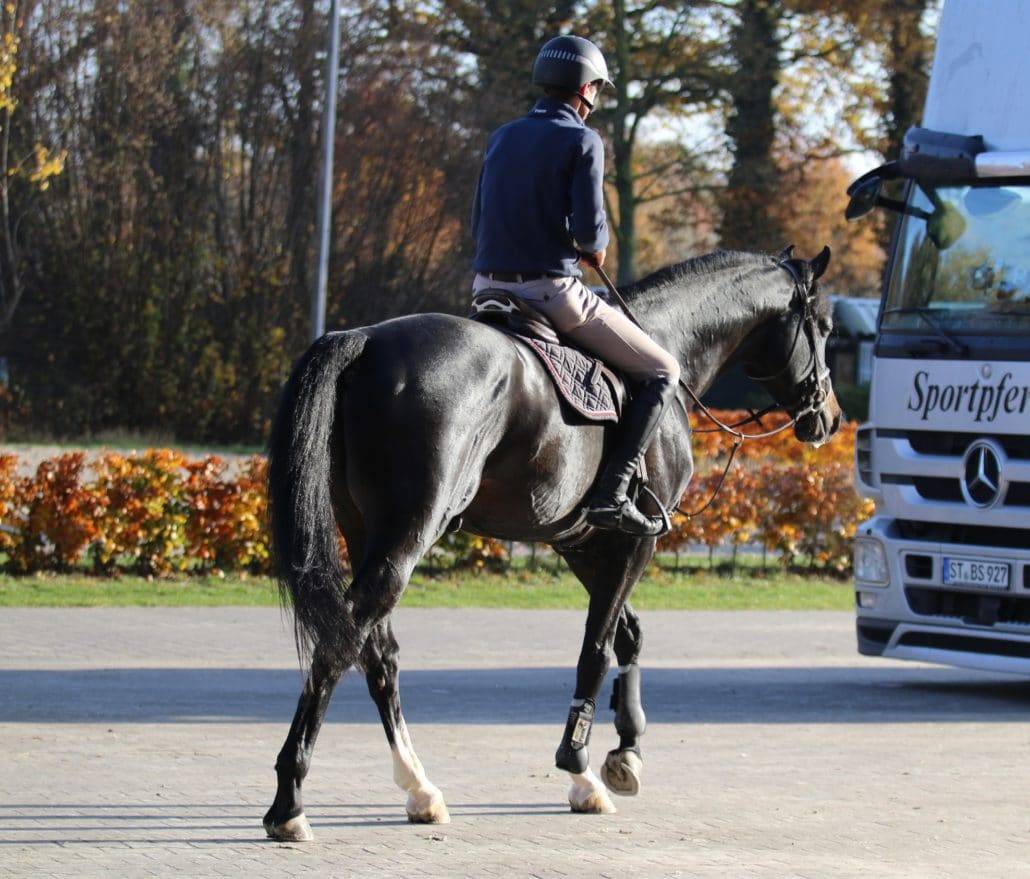 Chubakko - Noir - 173cm