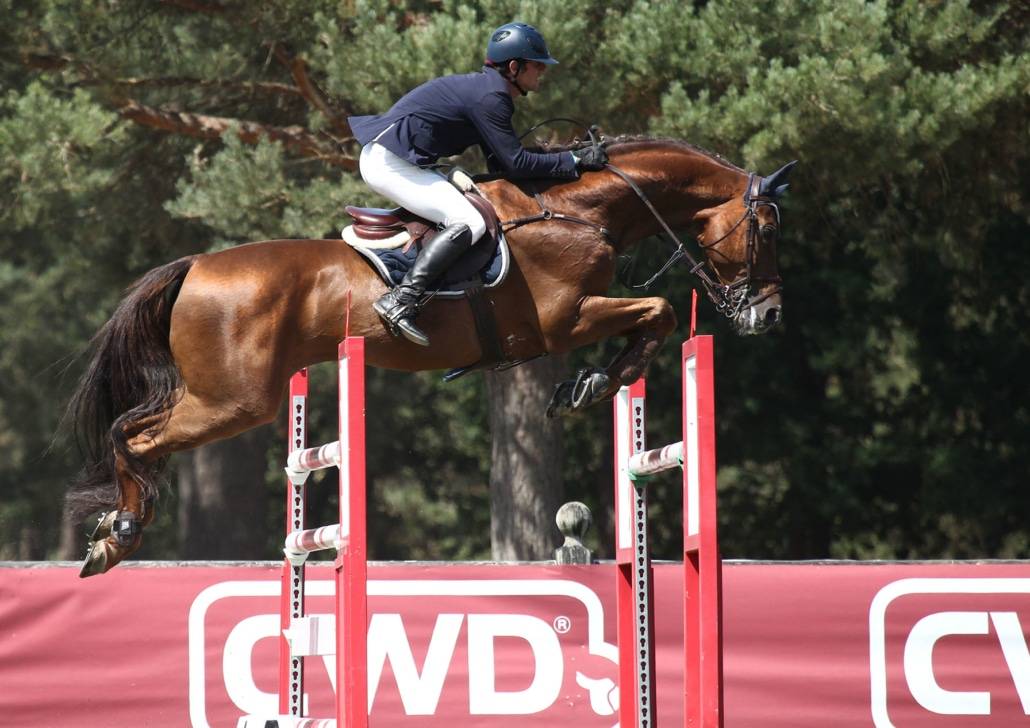 Gastronom de Hus - 1999 - Alezan - 1M71 - Zang