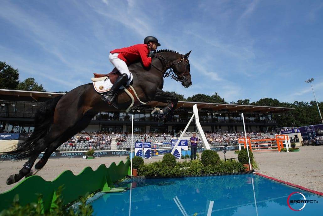 Quel Homme de Hus - 2006 - Bai - 1M66 - SF