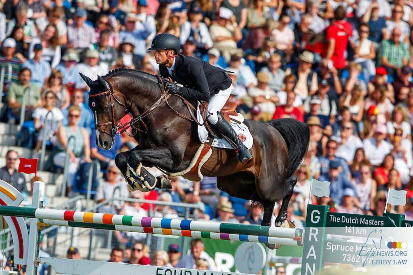 Quel Homme de Hus - 2006 - Bai - 1M66 - SF