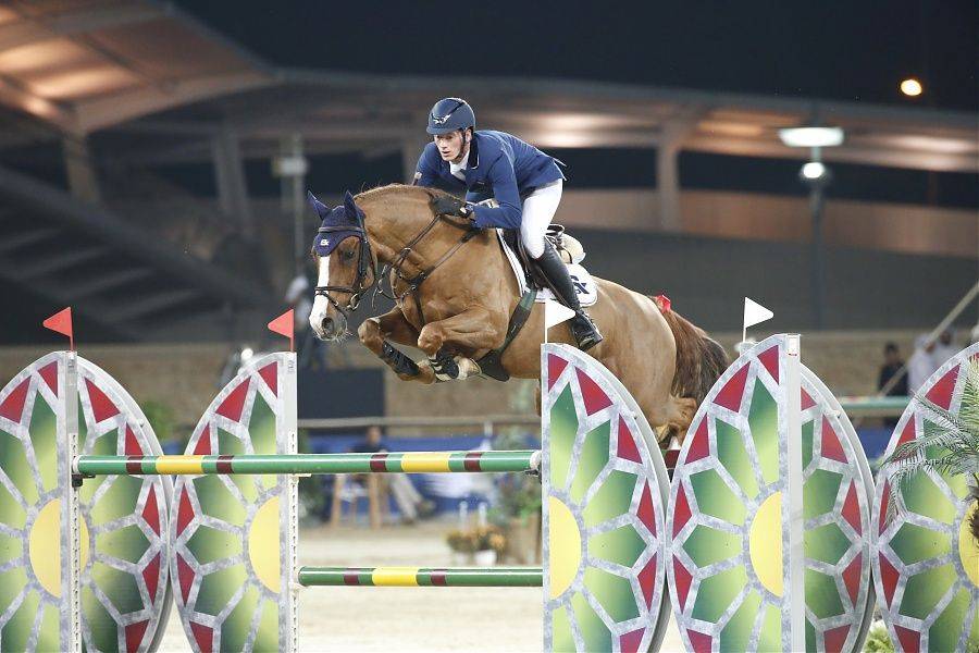 Tobago Z - 2008 - Alezan Brule - 1M63 - ZANG