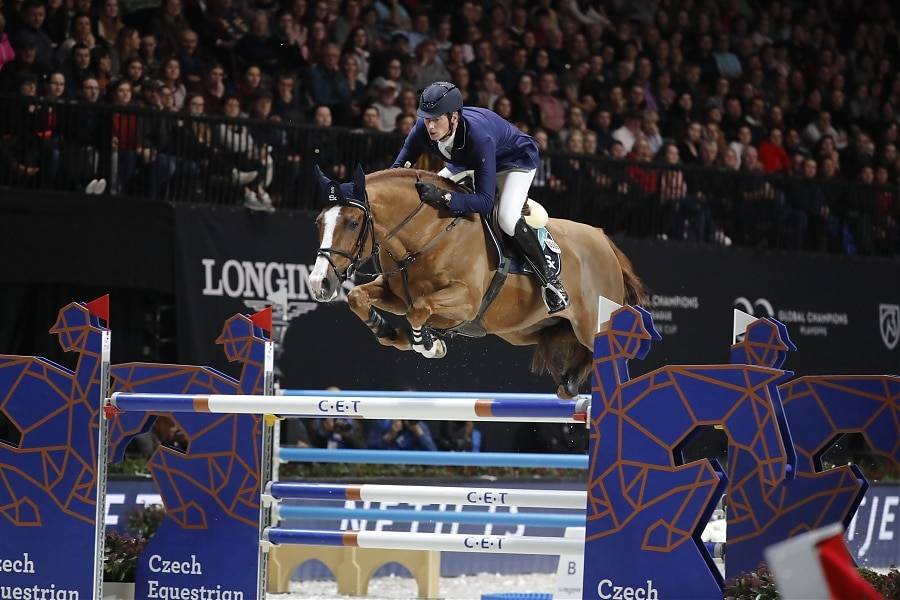 Tobago Z - 2008 - Alezan Brule - 1M63 - ZANG