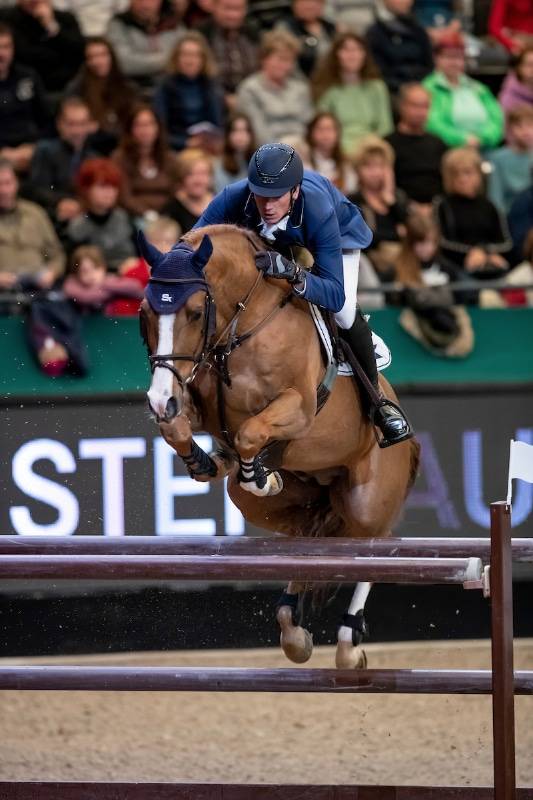 Tobago Z - 2008 - Alezan Brule - 1M63 - ZANG