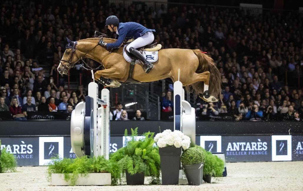 Tobago Z - 2008 - Alezan Brule - 1M63 - ZANG