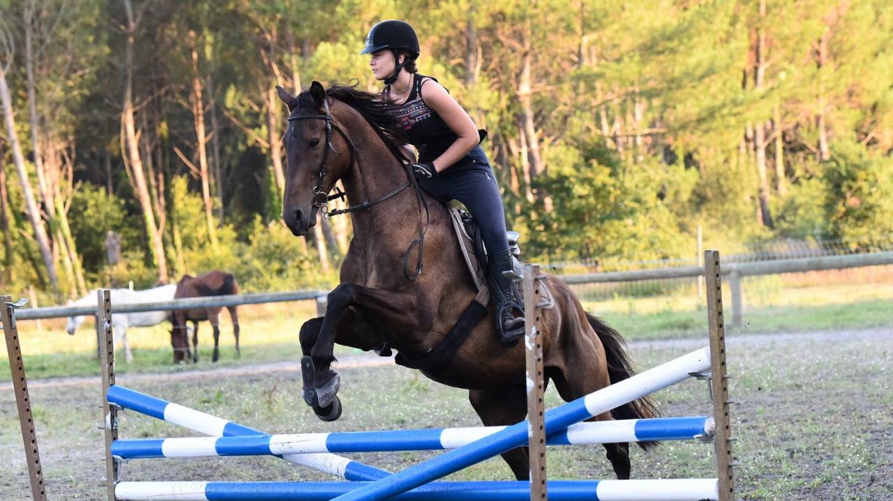 Stage ado Anglais - Cso et Cross - Landes