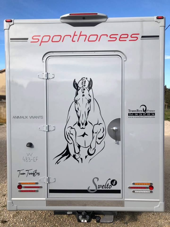 Camion VL Trans Box SVELTO 4