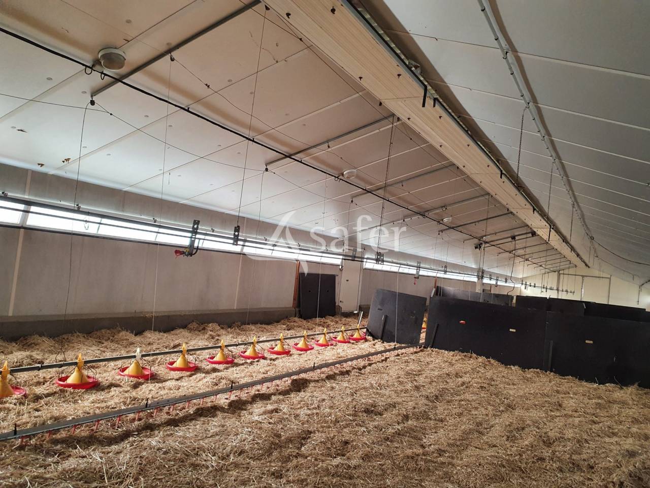 Exploitation agricole : Production Avicole Type LOUE