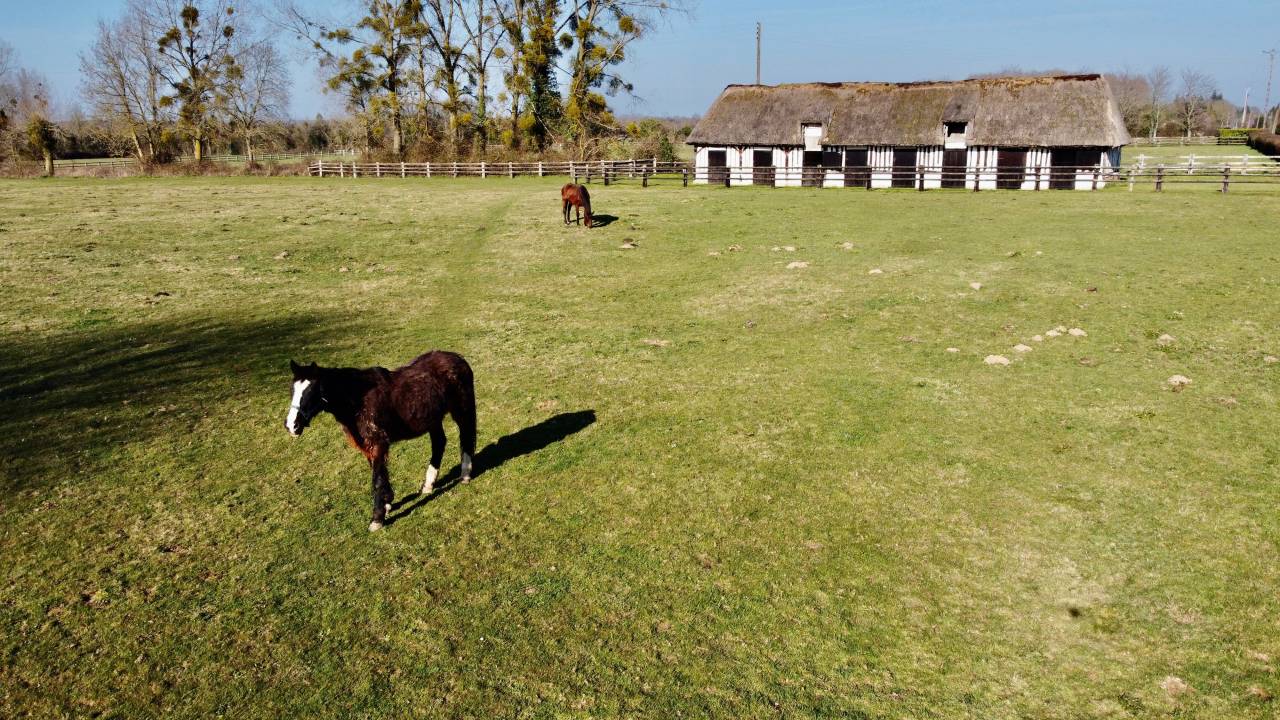 SECTEUR BLANGY LE CHATEAU - HARAS SUR 14 HECTARES