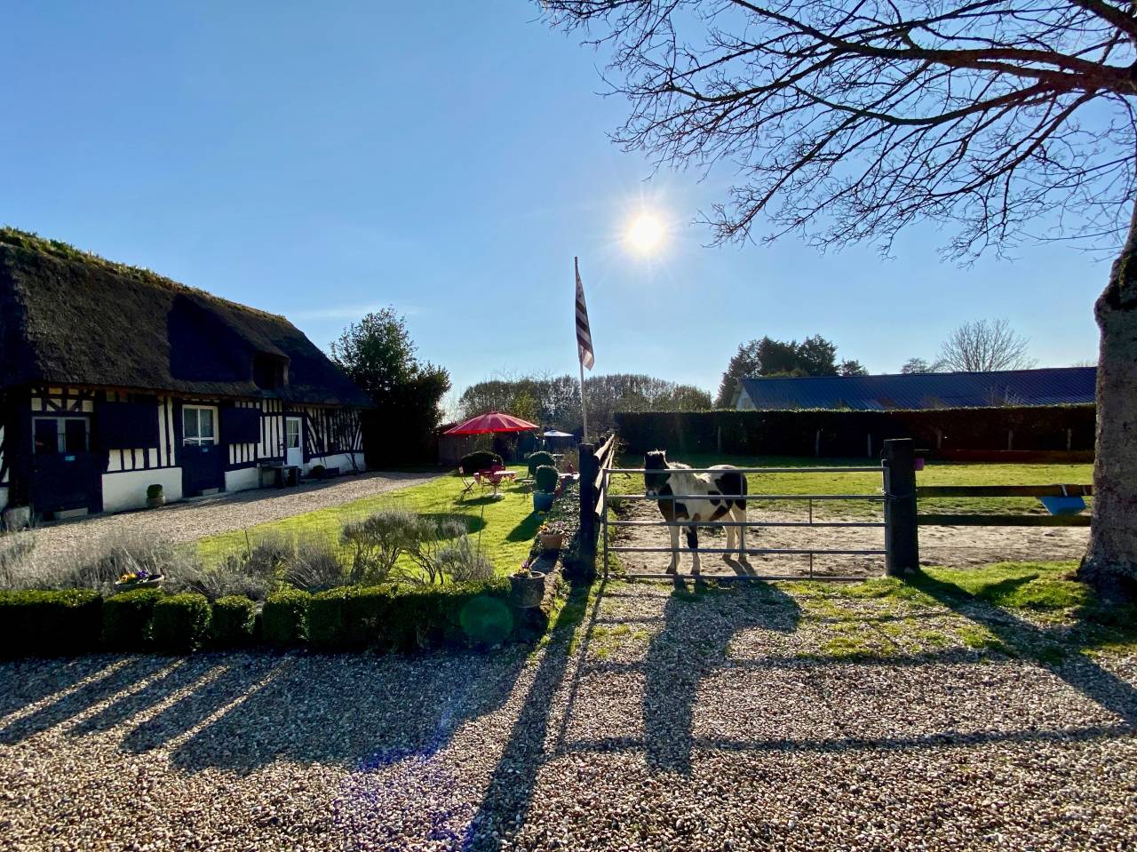 SECTEUR BLANGY LE CHATEAU - HARAS SUR 14 HECTARES