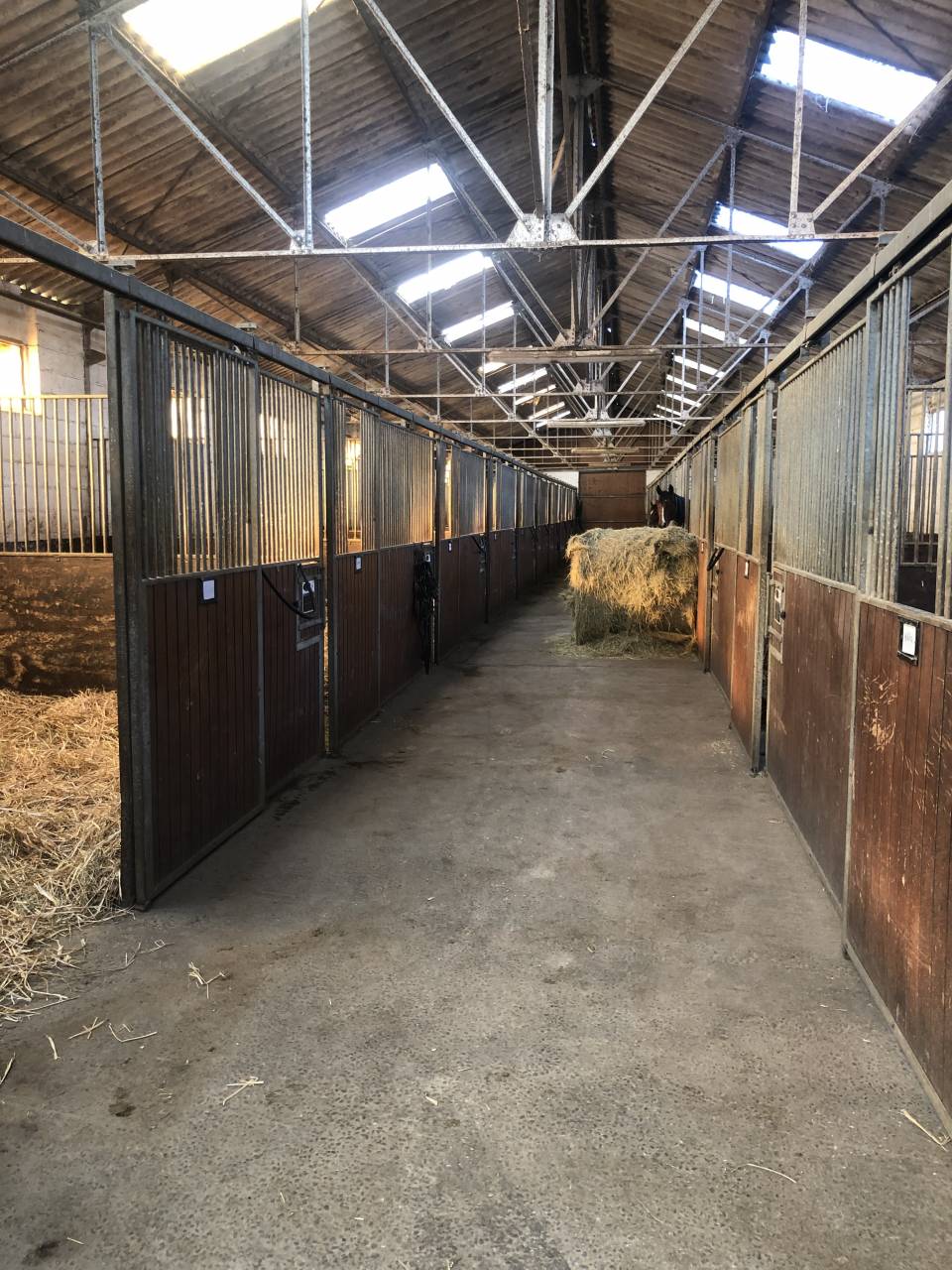 CENTRE D'ENTRAINEMENT - PROCHE HARAS DU PIN (61)