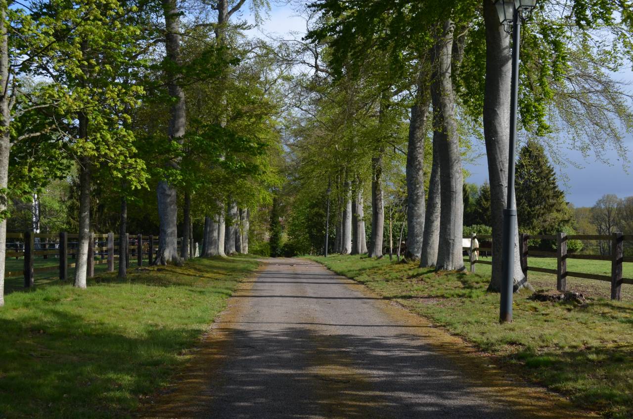 HARAS - 77 ha - NORMANDIE - Proche d'Orbec (14)