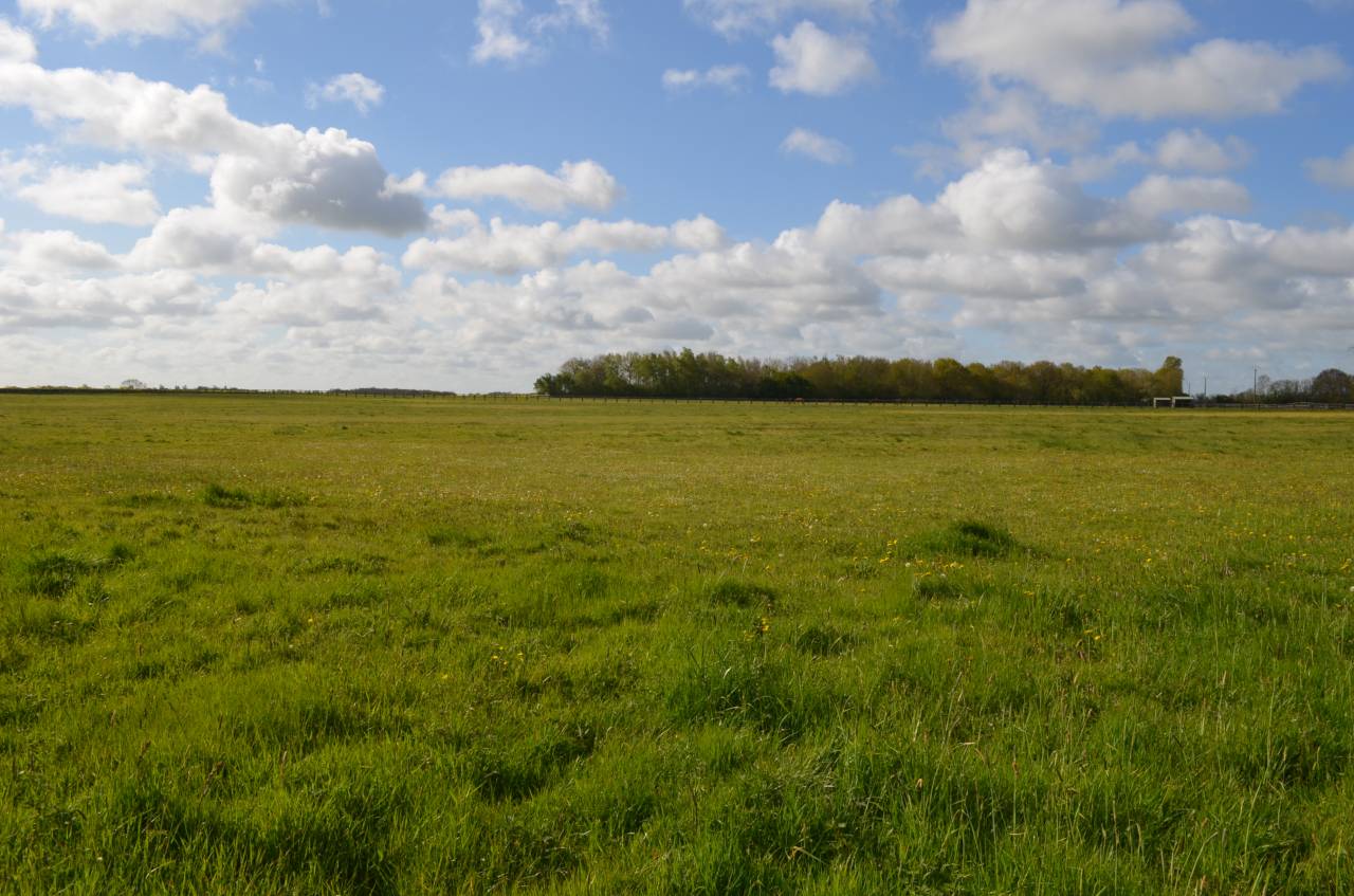 HARAS - 77 ha - NORMANDIE - Proche d'Orbec (14)