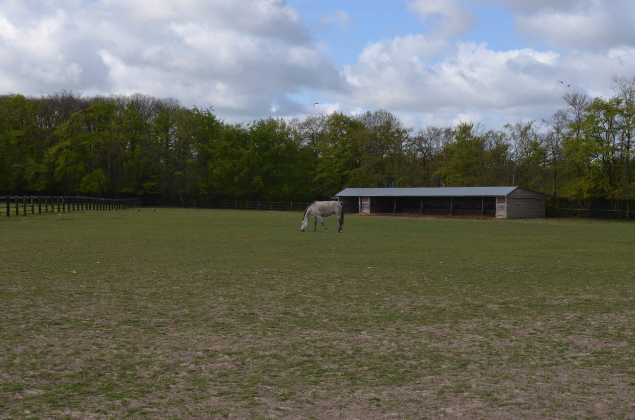 HARAS - 77 ha - NORMANDIE - Proche d'Orbec (14)