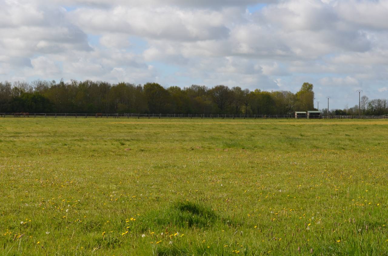 HARAS - 77 ha - NORMANDIE - Proche d'Orbec (14)
