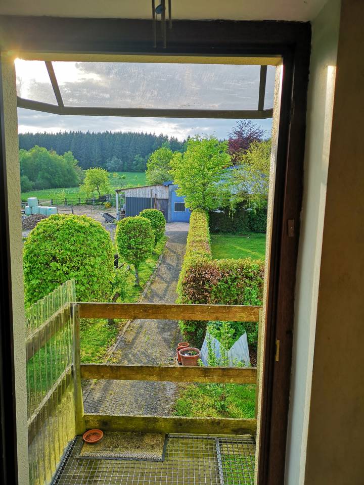 Vacance avec votre cheval... 