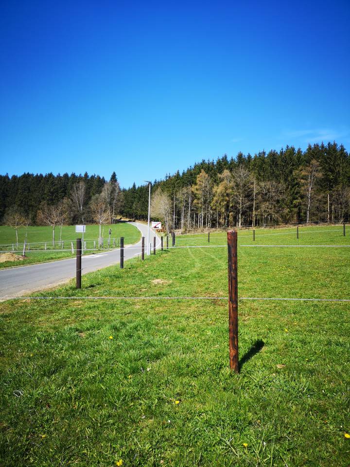 Vacance avec votre cheval... 