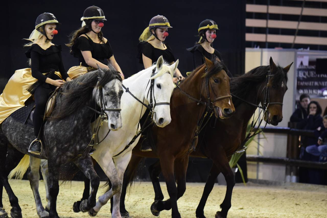 Apprentissage : Animateur d'équitation