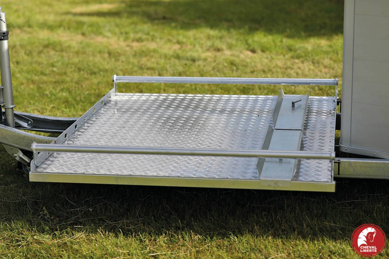 Vans Gold Hippomobile