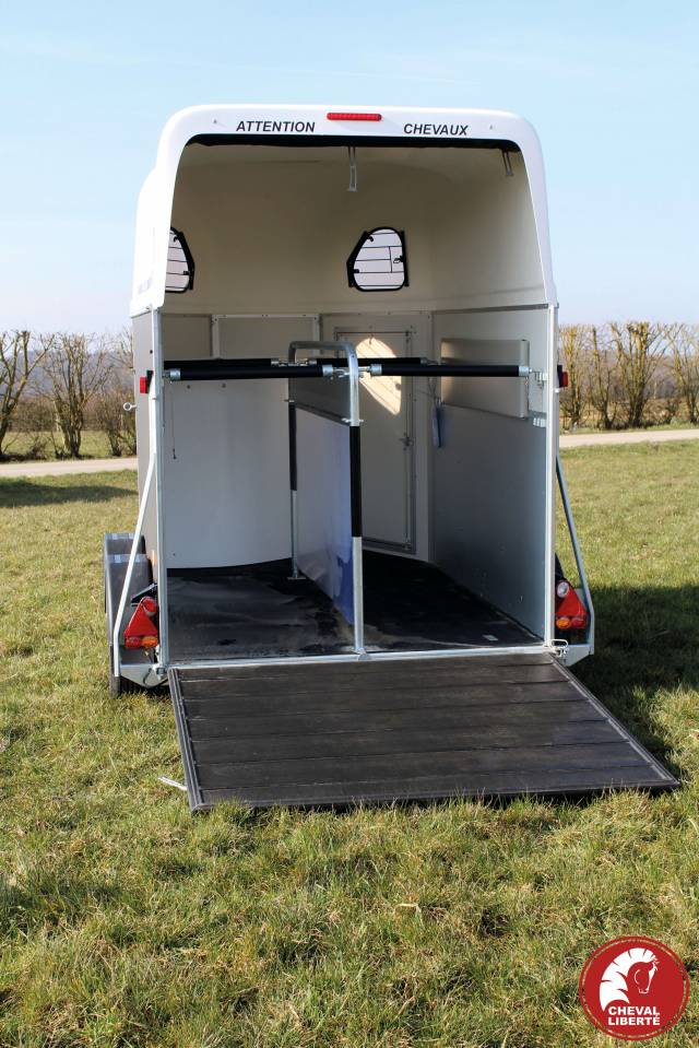 Vans Gold Hippomobile