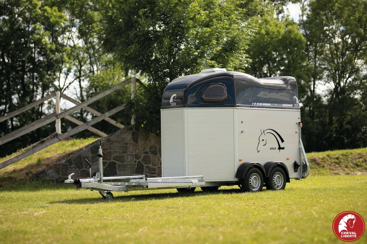 Vans Gold Hippomobile