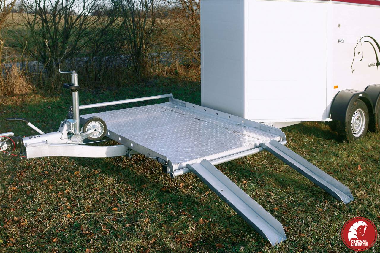 Vans Gold Hippomobile