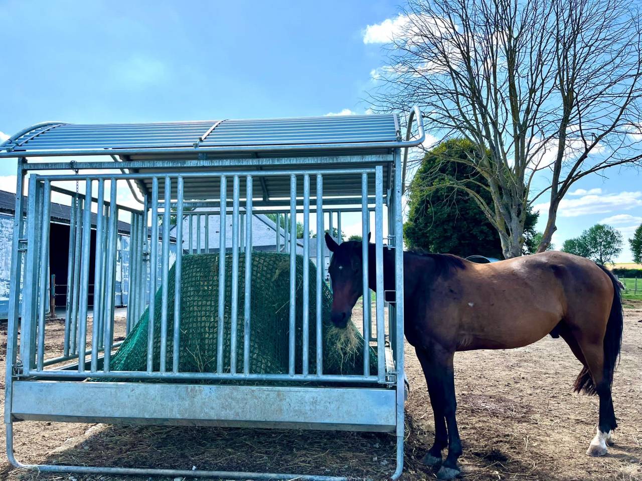 Pension complète en prairie avec infrastructures