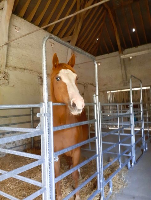 Pension complète en prairie avec infrastructures