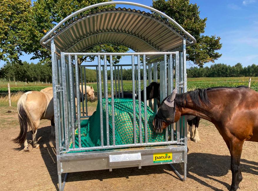 Pension complète en prairie avec infrastructures