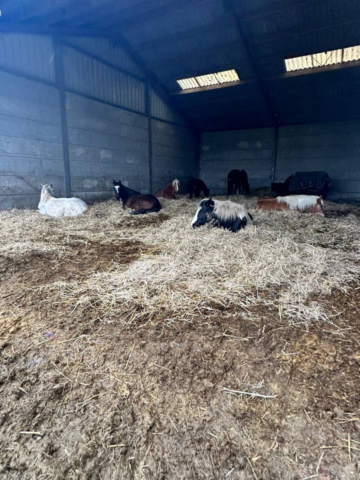 Pension complète en prairie avec infrastructures