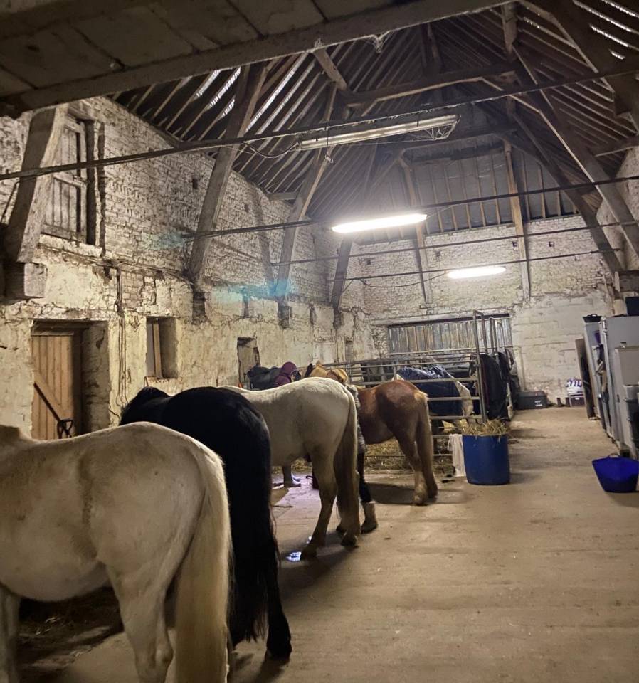 Pension complète en prairie avec infrastructures