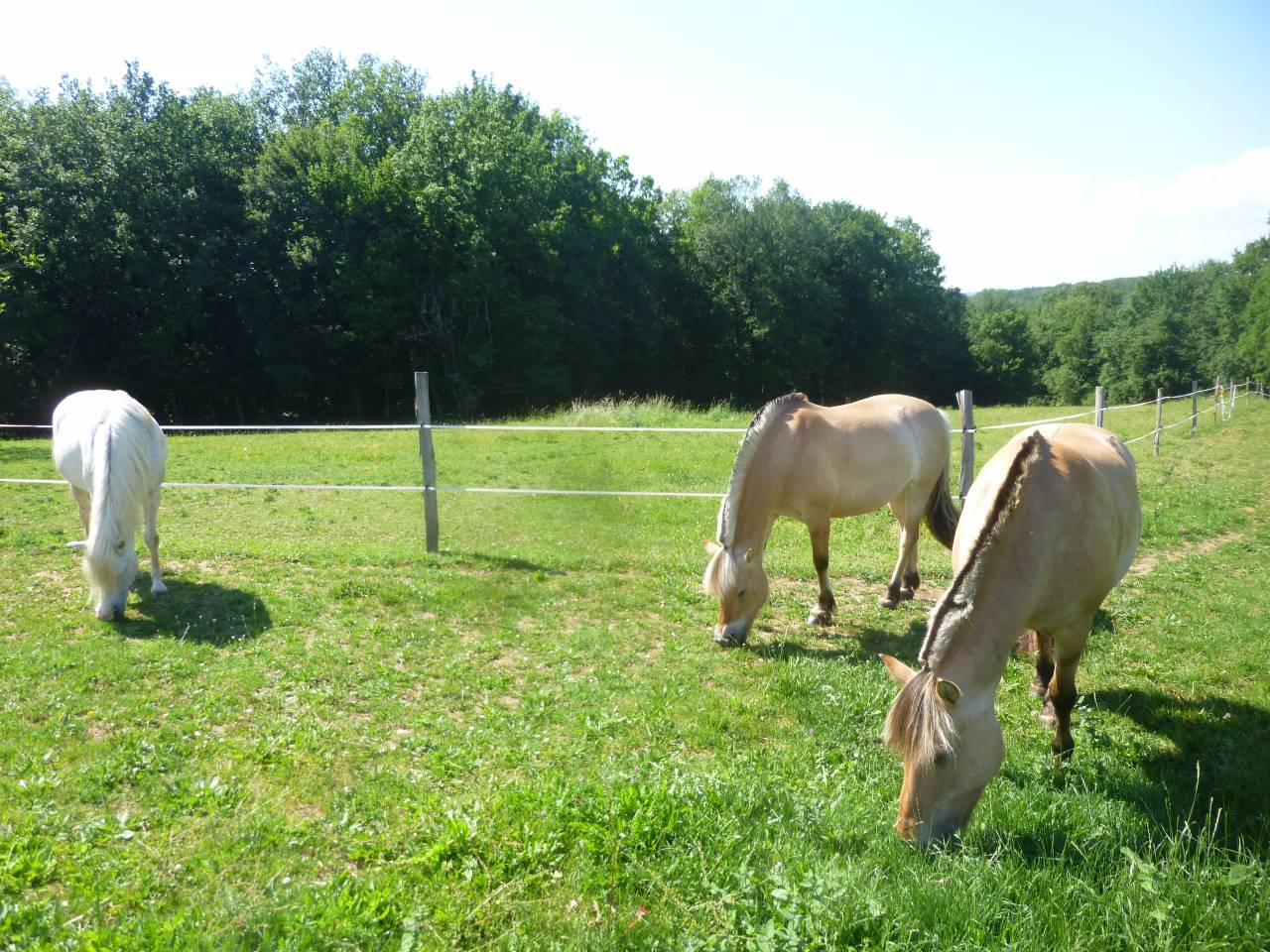 maison de vacances 4*,piscine, prés abris et carrière 