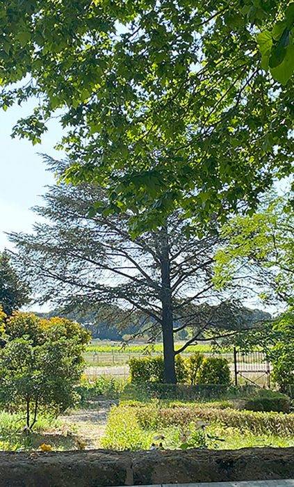 Domaine languedocien avec installations équestres