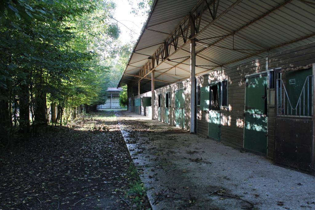 Haras de 8 ha aux portes de Chantilly (60)
