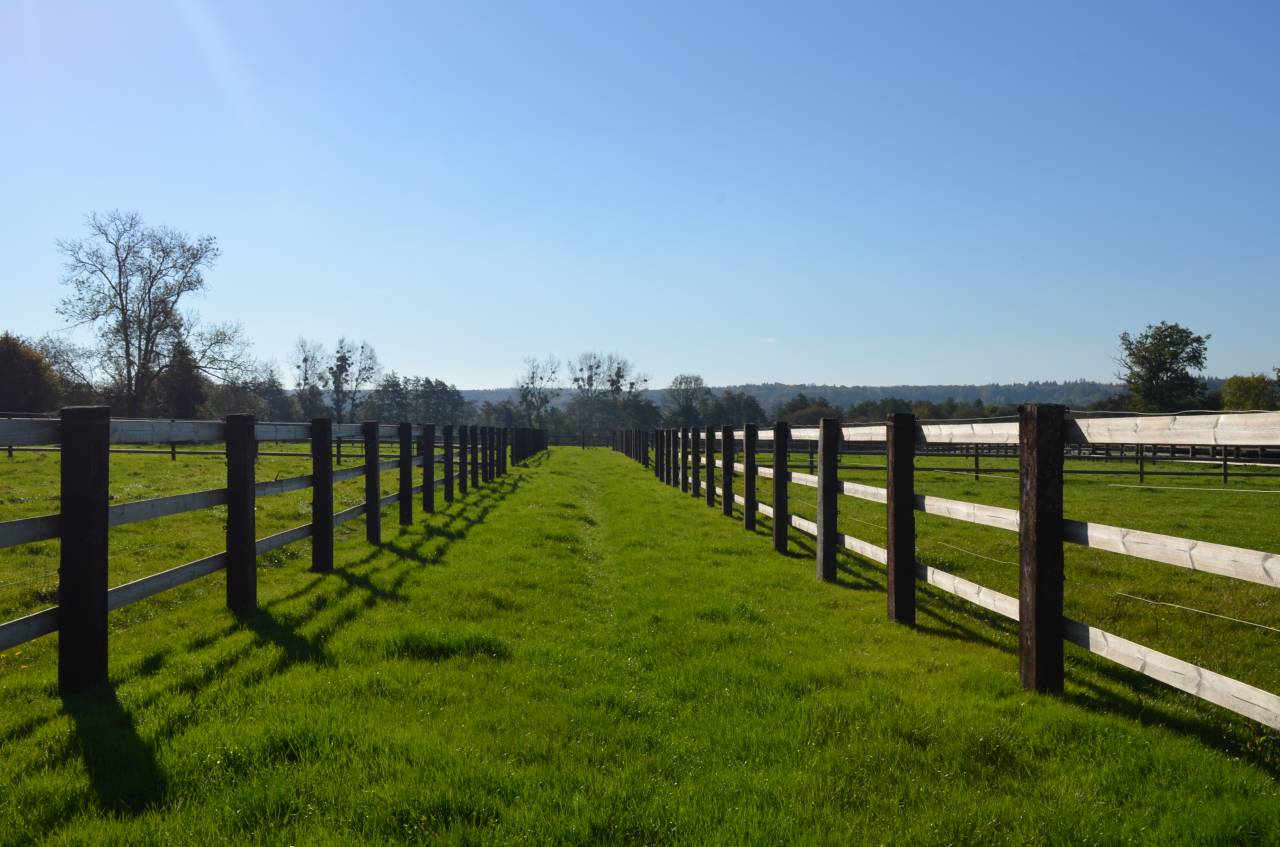 Haras - 53 ha - Normandie - Région Argentan (Orne)