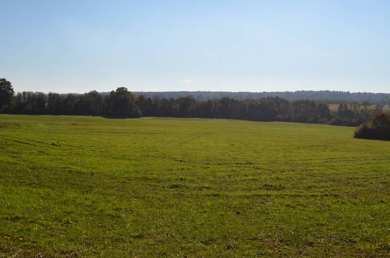 Haras - 53 ha - Normandie - Région Argentan (Orne)