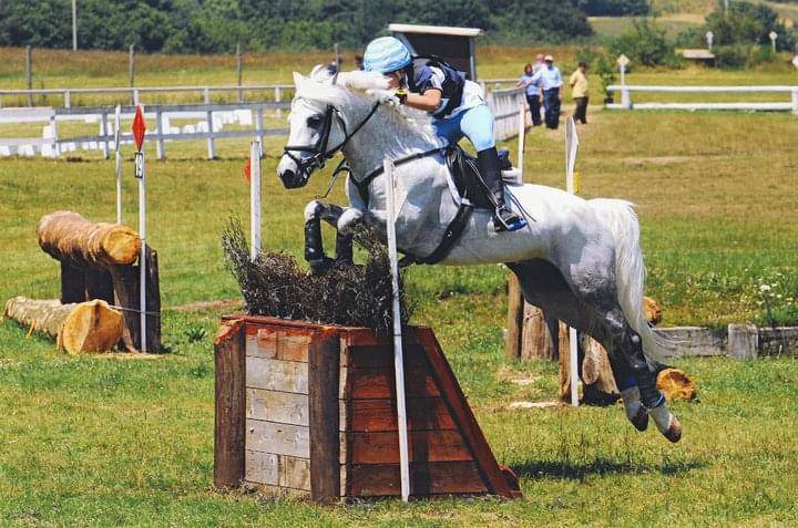 LAPSUS DE L'OCQ - New Forest - Gris - 1999 - 145 cm