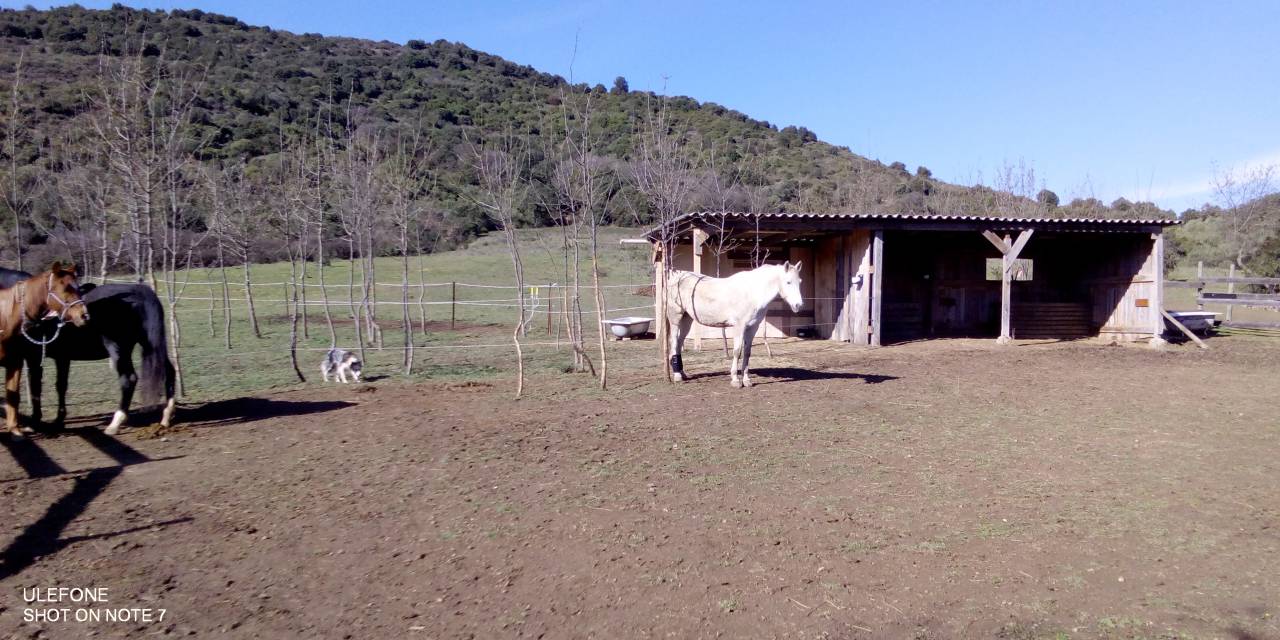 Gîte équestre 9 places avec piscine dans le sud