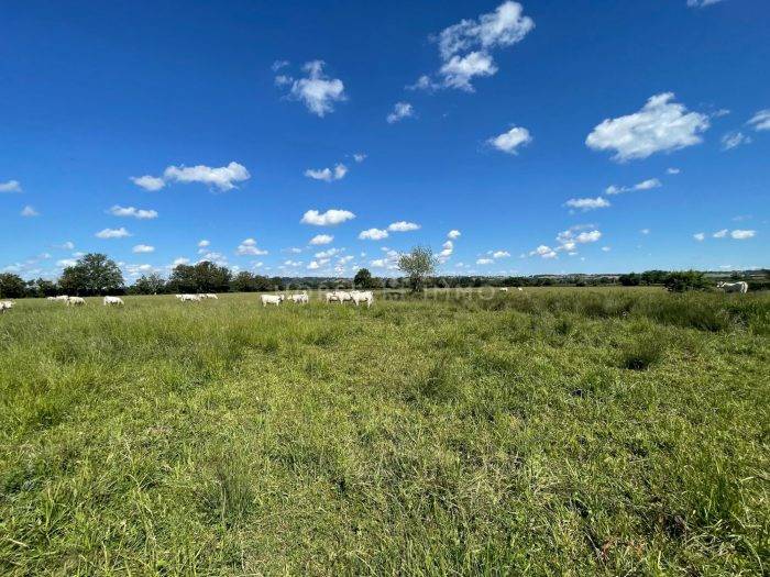Terrain de 11 hectares avec partie constructible