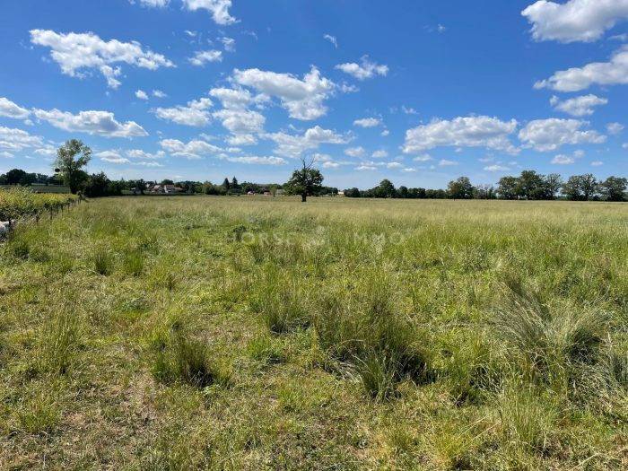 Terrain de 11 hectares avec partie constructible
