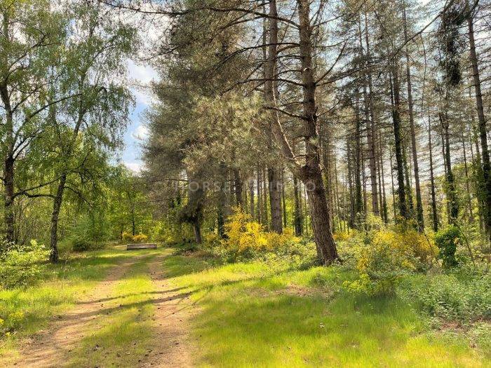 Fonds de Commerce, Gîtes, Equitation et Restaurant 30 hectares