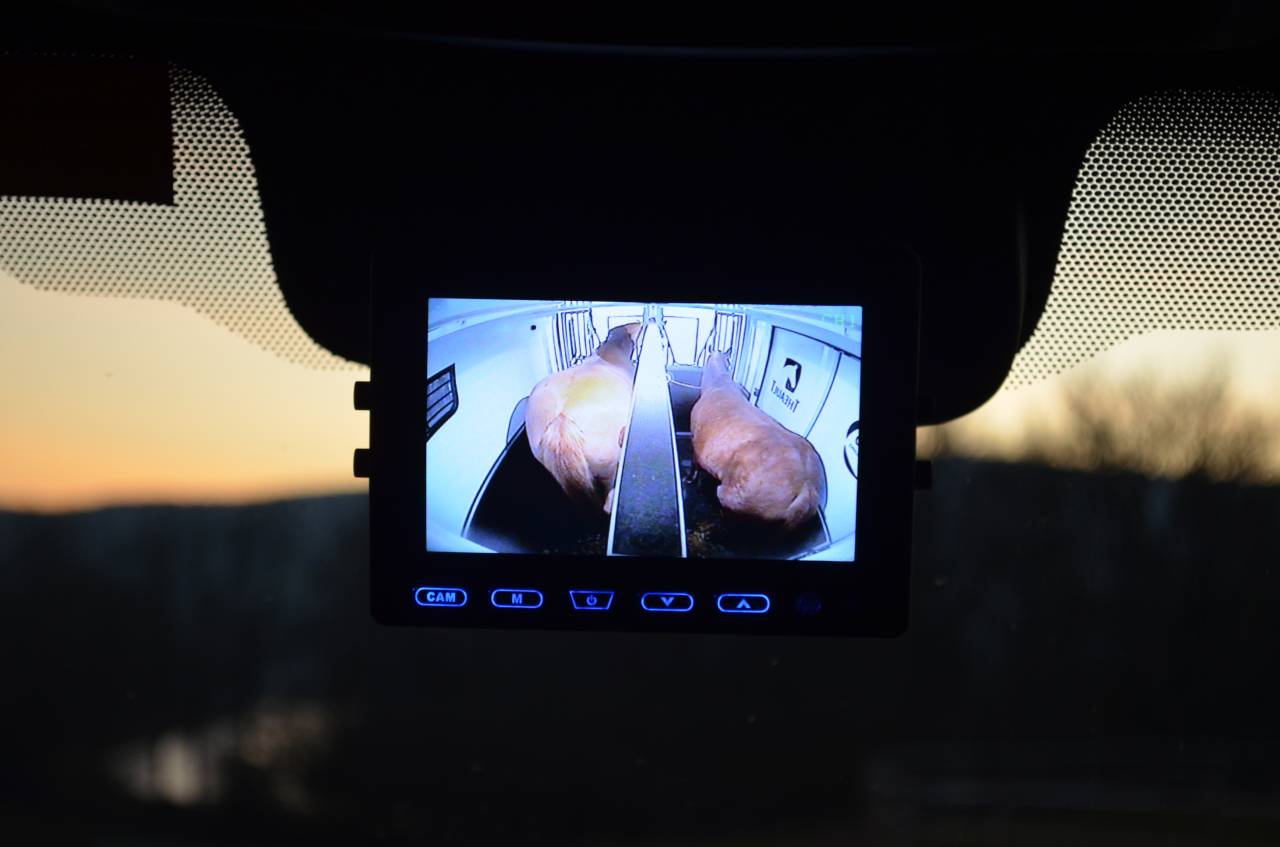 Location camion pour chevaux proche DIJON