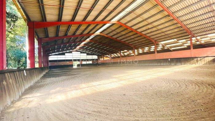 Très beau domaine équestre sur 8 hectares