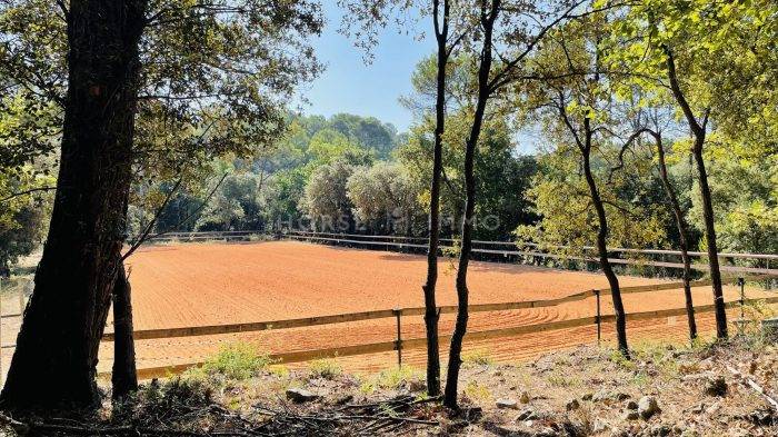 Très beau domaine équestre sur 8 hectares
