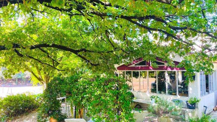 Très beau domaine équestre sur 8 hectares