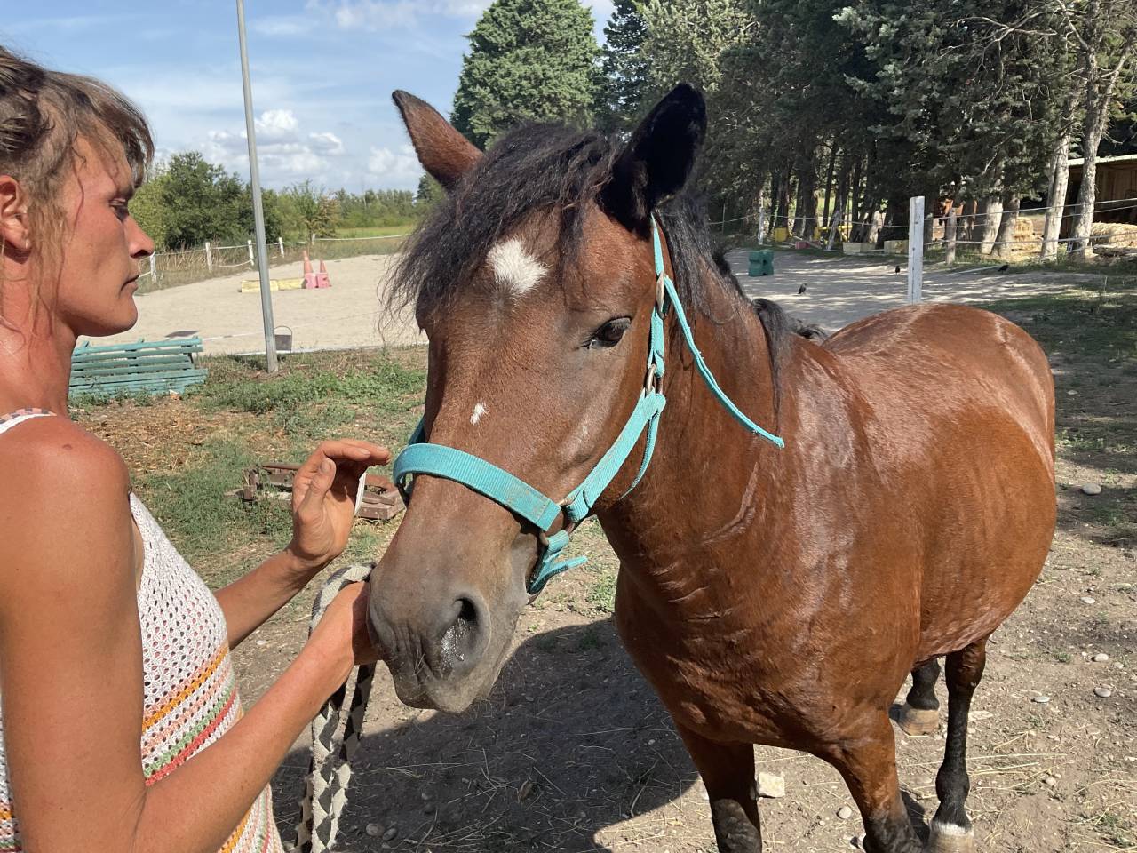 Ponette demi curly hypoallergénique - Toscane