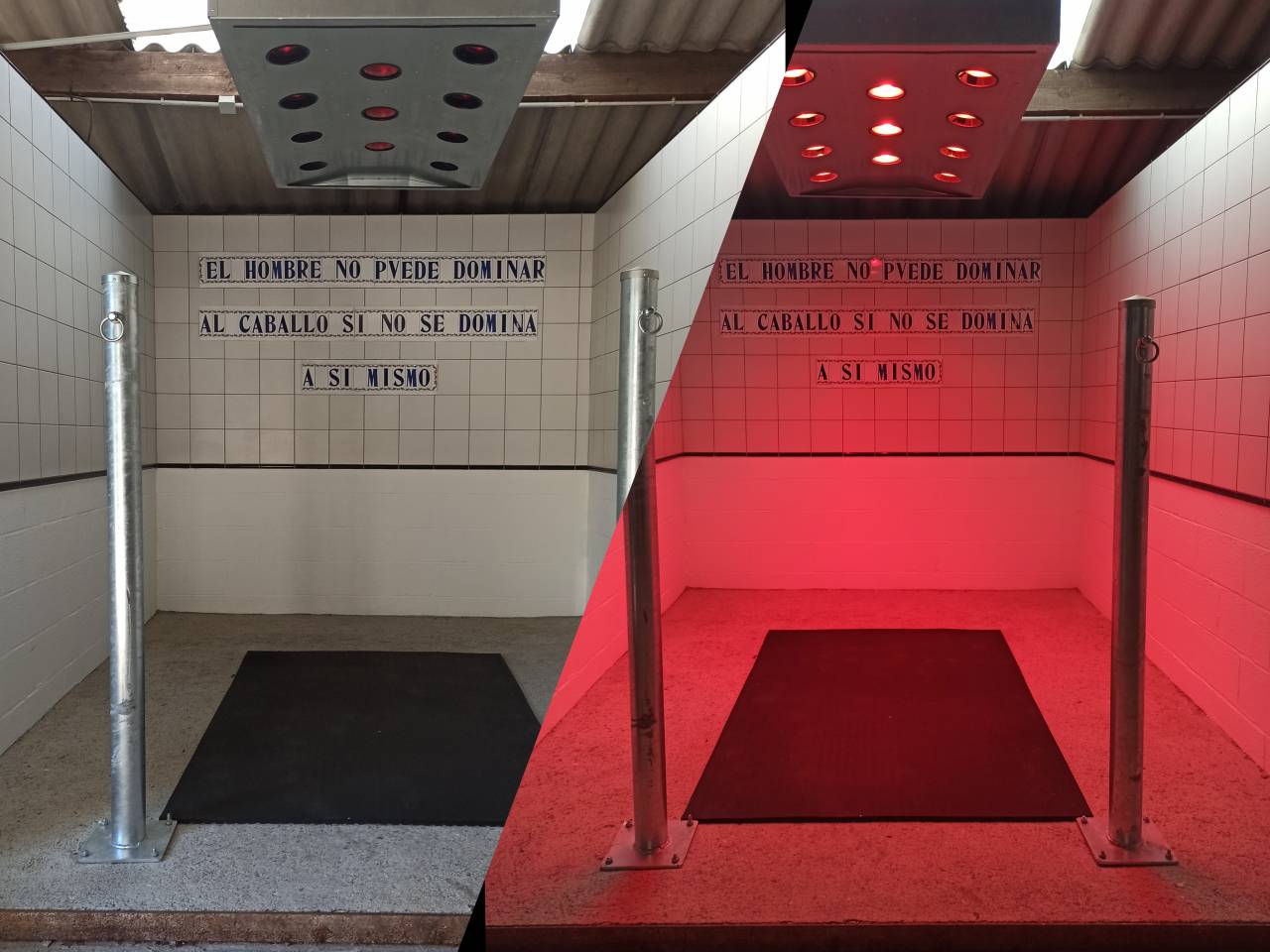 Ecurie privée - Pensions - Equi-pistes - Foin à volonté