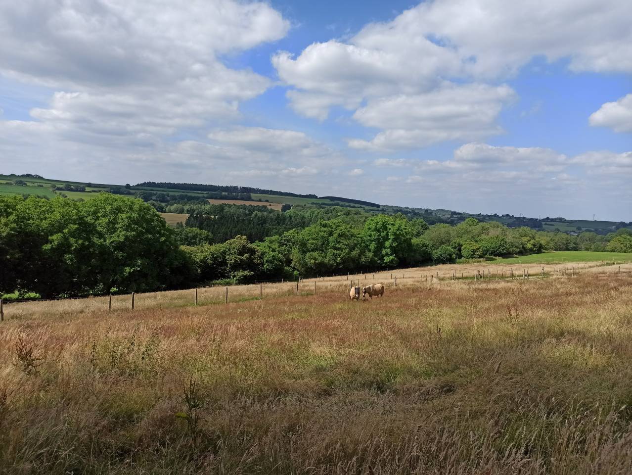 Ecurie privée - Pensions - Equi-pistes - Foin à volonté