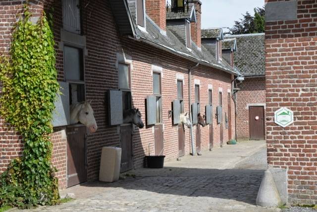 Ecurie privee pension box prairie