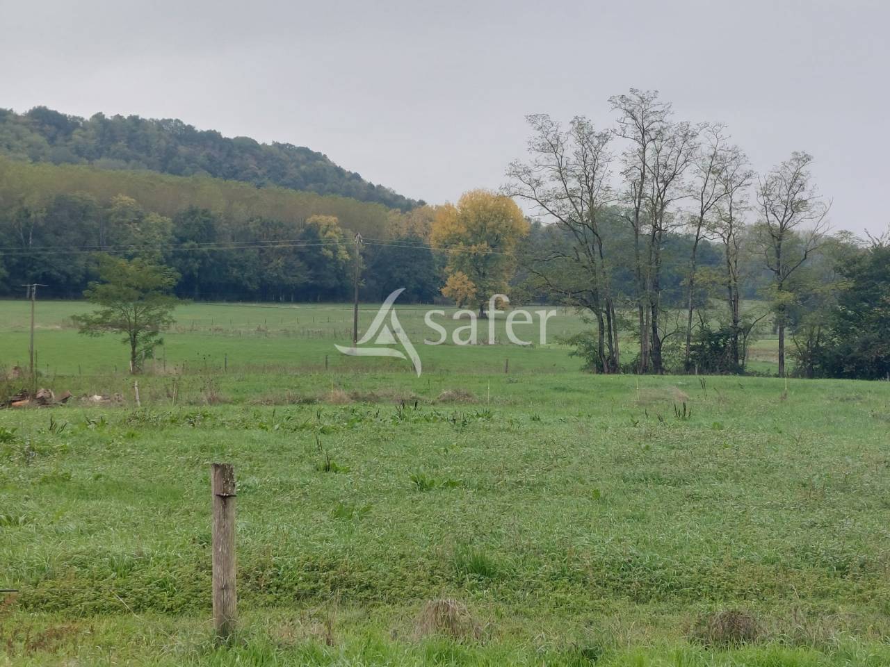 Propri&eacute;t&eacute; d'&eacute;levage de 19ha proche Hautefort